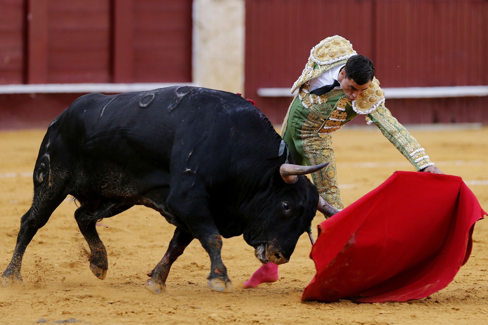 El diestro Paco Ureña, en un natural a su primer toro, al que cortó una oreja en La Malagueta.