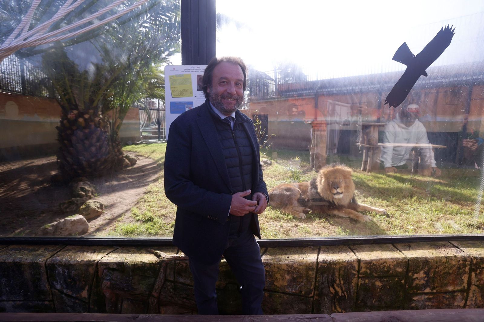 Las mejores imágenes de Zazu y Aissa, la nueva pareja de leones del Zoo de Córdoba