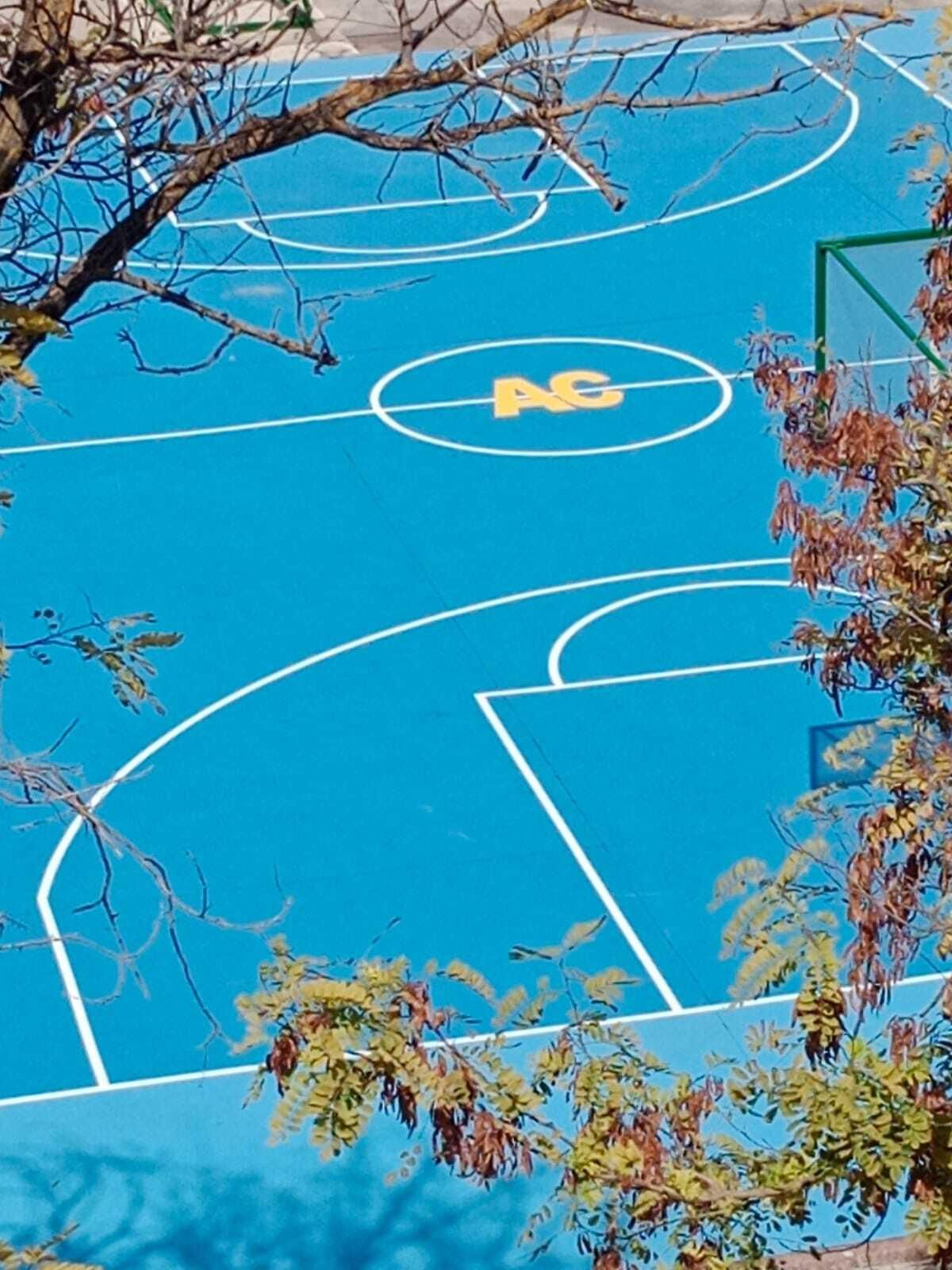 Detalle de las pistas.