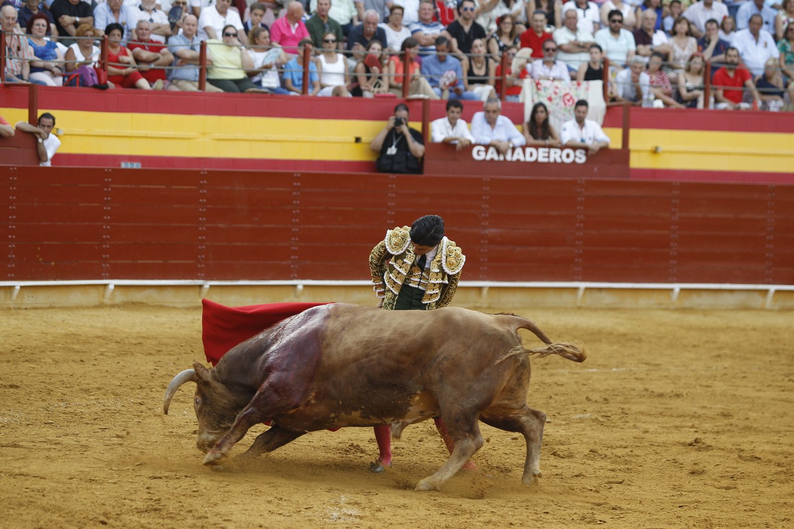 Fotogalería corrida toros Feria Santa Ana-Roquetas de Mar-El Juli-Perera-Aguado