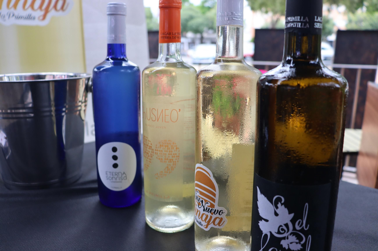 Las mejores imágenes de Córdoba en Flor