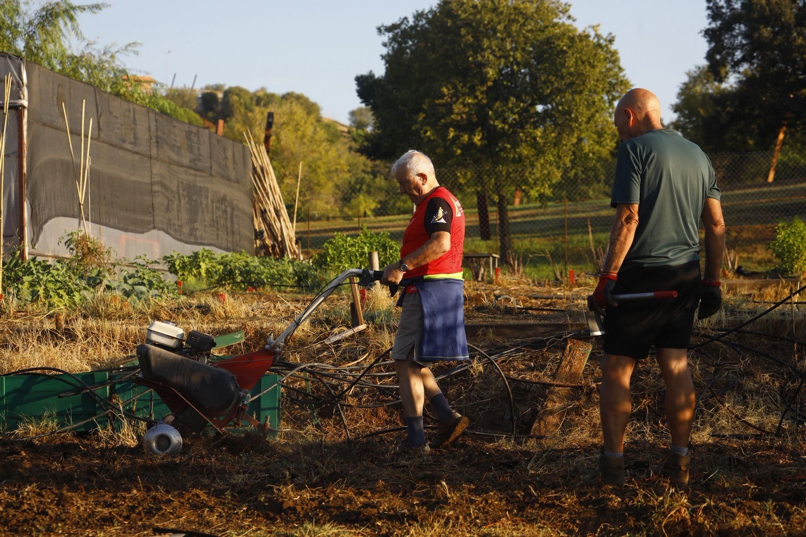 Jesús y Pepe en los Huertos Urbanos de la Asomadilla