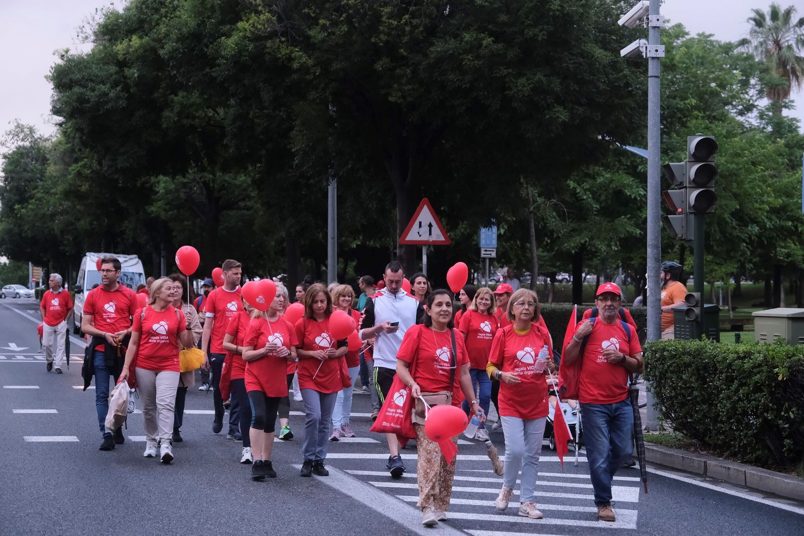 La marcha por la donación tiñe de rojo las calles de Córdoba, en imágenes