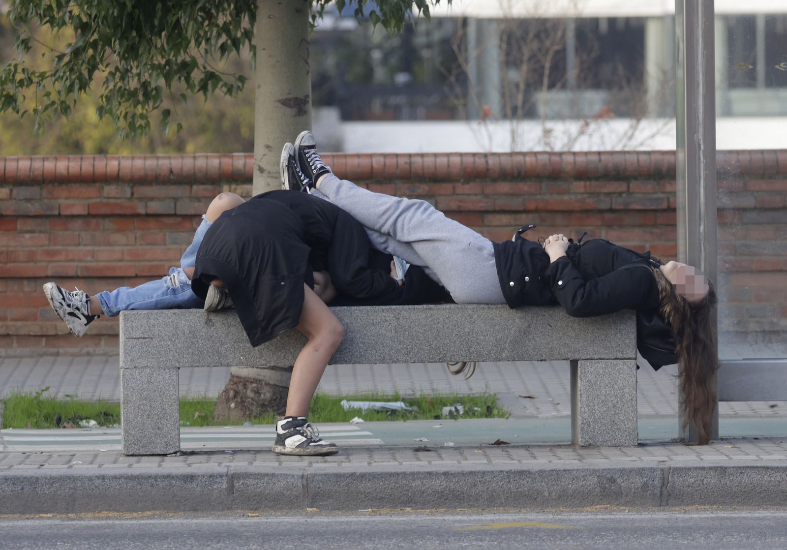 Primeras imágenes del Año Nuevo