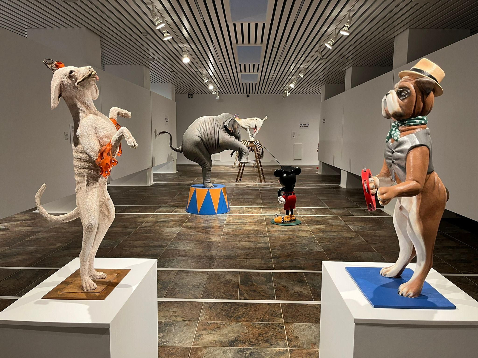 La Sala de la Provincia acoge la exposición 'Zooilogic. Historias circences', de Manuel Garrido