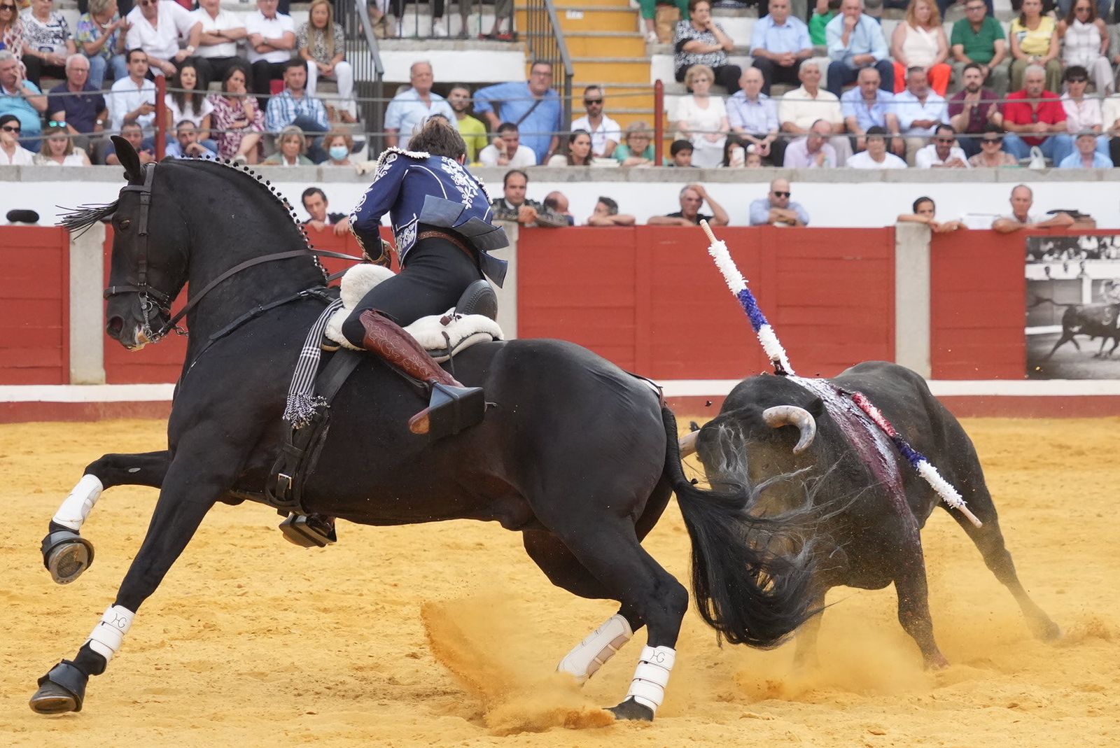 El triunfo del rejoneador Guillermo Hermoso de Mendoza en Pozoblanco, en imágenes