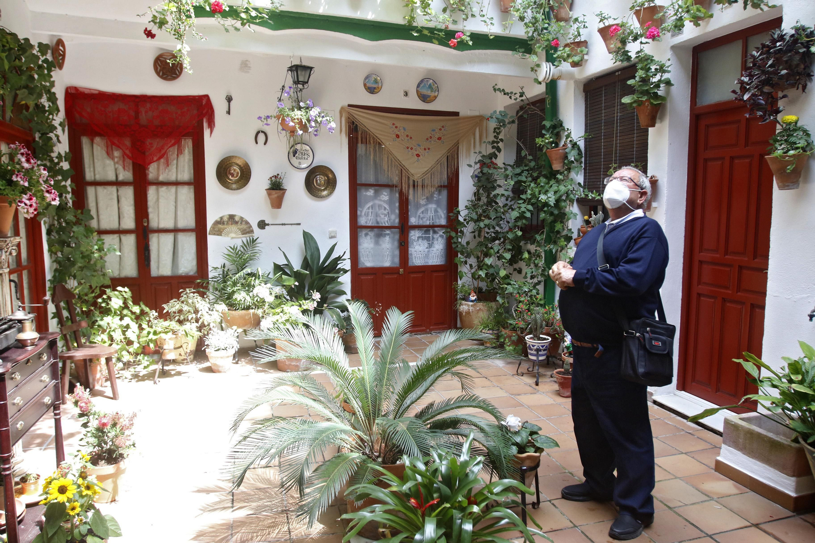 Ruta Regina - Realejo de los Patios de Córdoba, en imágenes