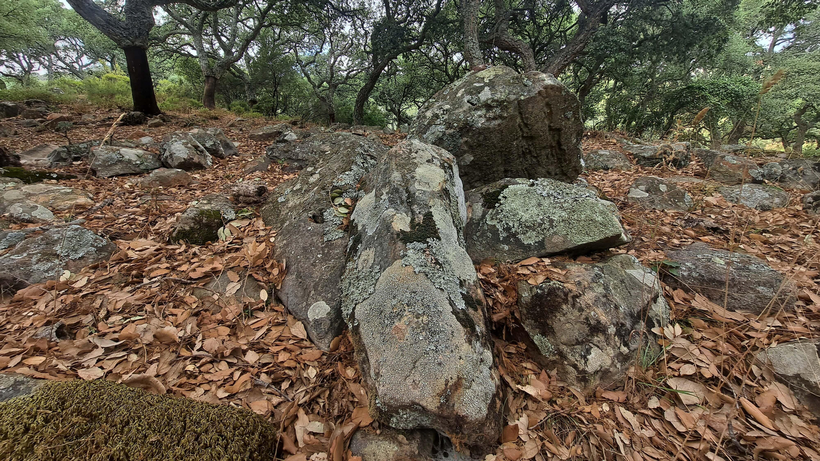 Fotos del sendero de la garganta del Rayo en Tarifa
