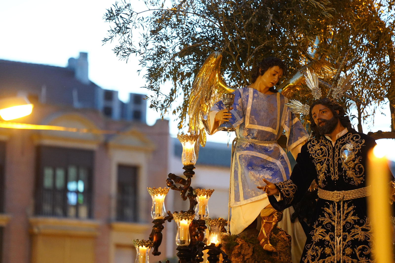 Las mejores fotografías del Domingo de Ramos en Lucena