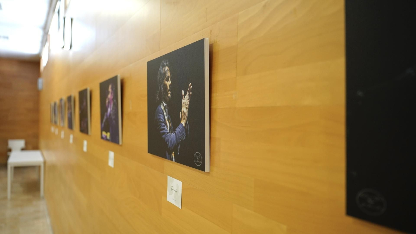 Fotos de la masterclass de baile flamenco impartido por La Lupi y de la exposición "10 años cantando a Paco" de José Mera