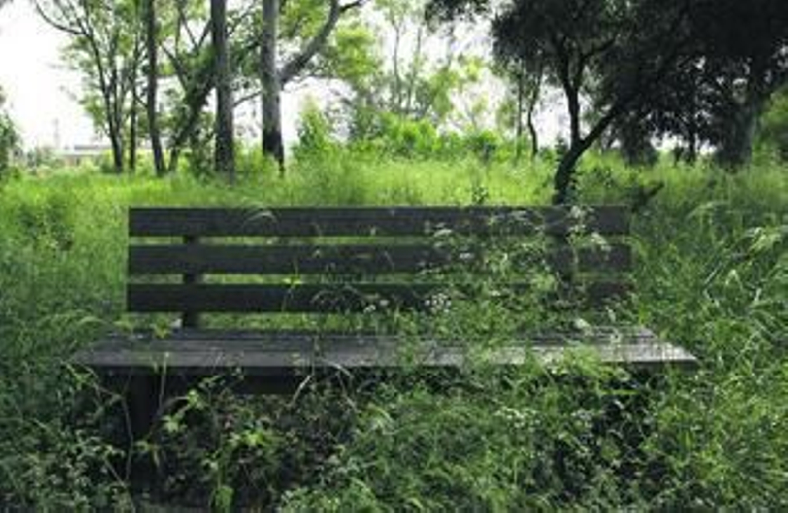 Testigos del abandono