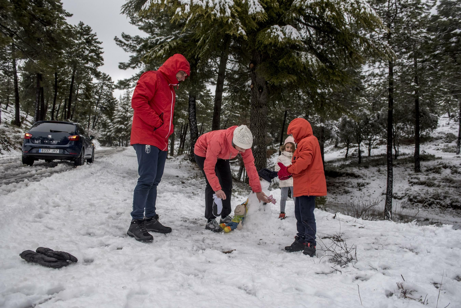 Todas las imágenes del paso del temporal por Granada