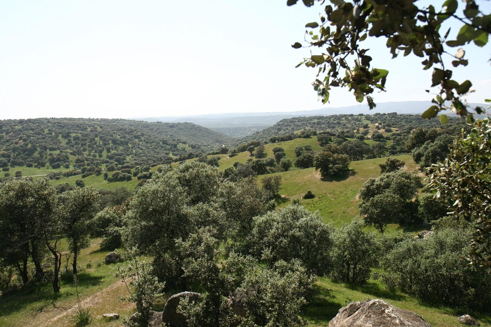Descubre Bailén: campo de la batalla histórica al pie de Sierra Morena