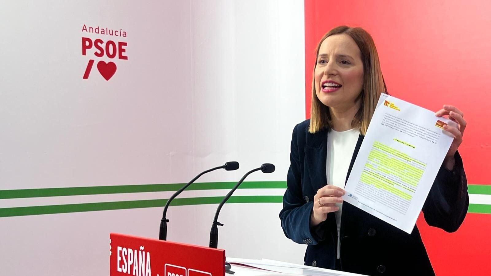 Ana Carrera, portavoz del grupo socialista en la Diputación de Cádiz. Ana Carrera, portavoz del grupo socialista en la Diputación de Cádiz.
