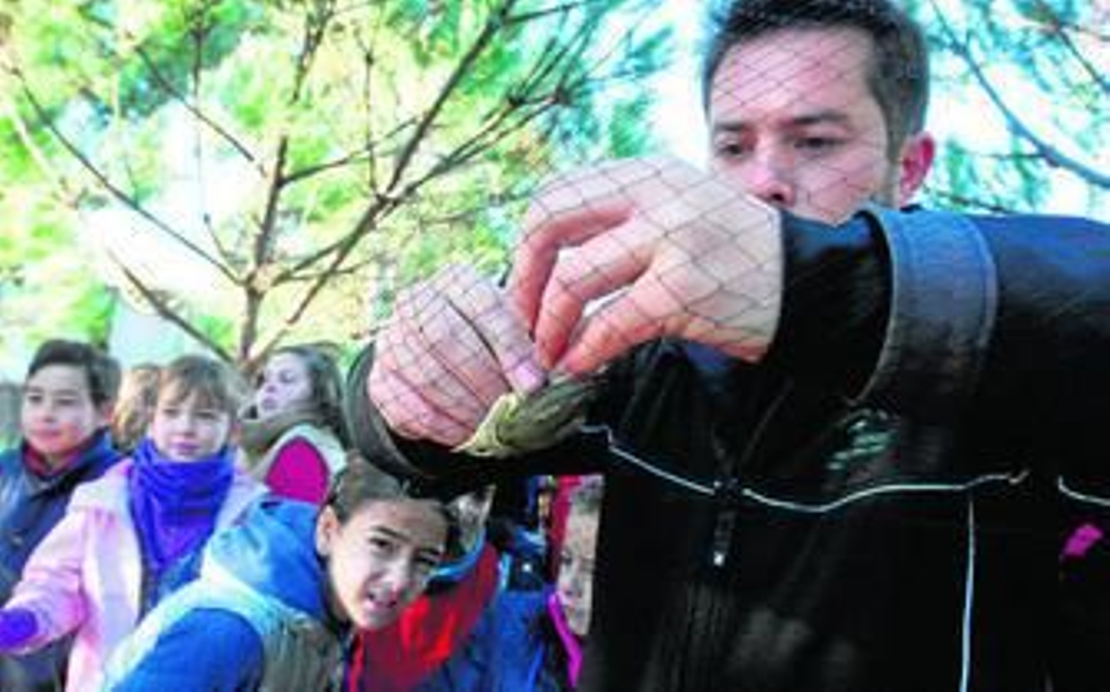 Algunos de los momentos de la jornada de ayer centrada en el reconocimiento y anillamiento de aves.