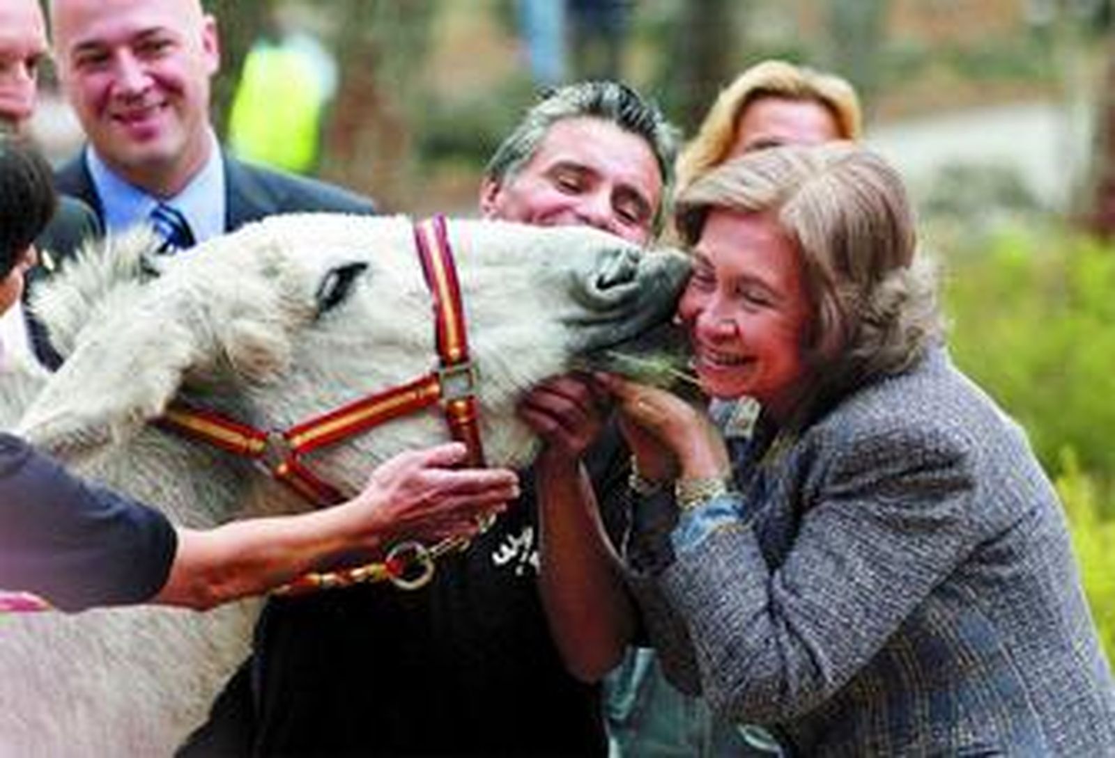 Un beso muy cariñoso a la Reina