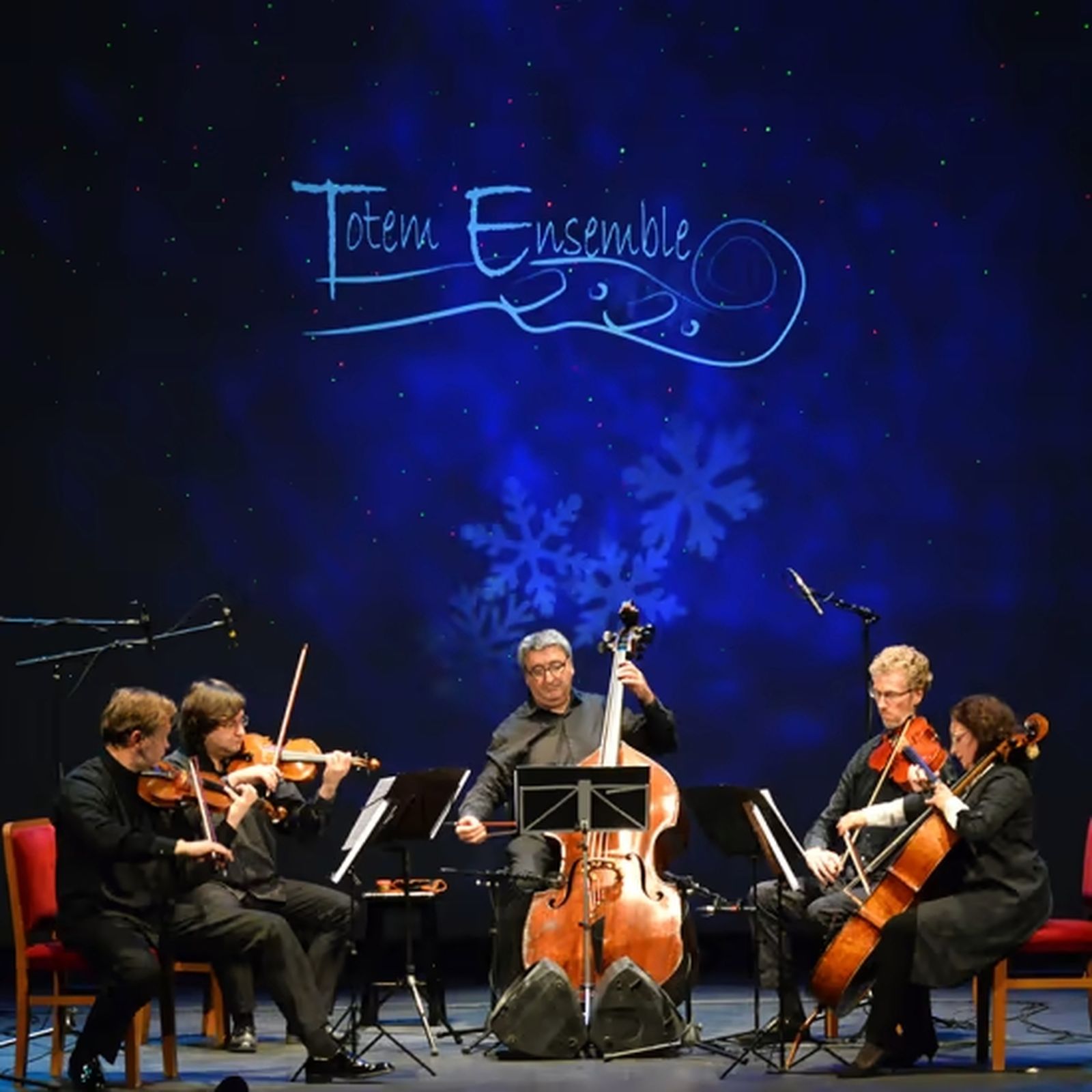 Quinteto de Cuerdas Tótem Ensemble.