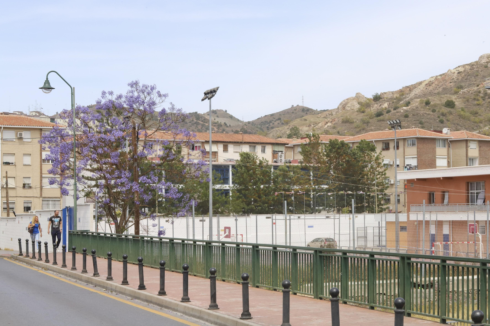 Las fotos del distrito Palma-Palmilla