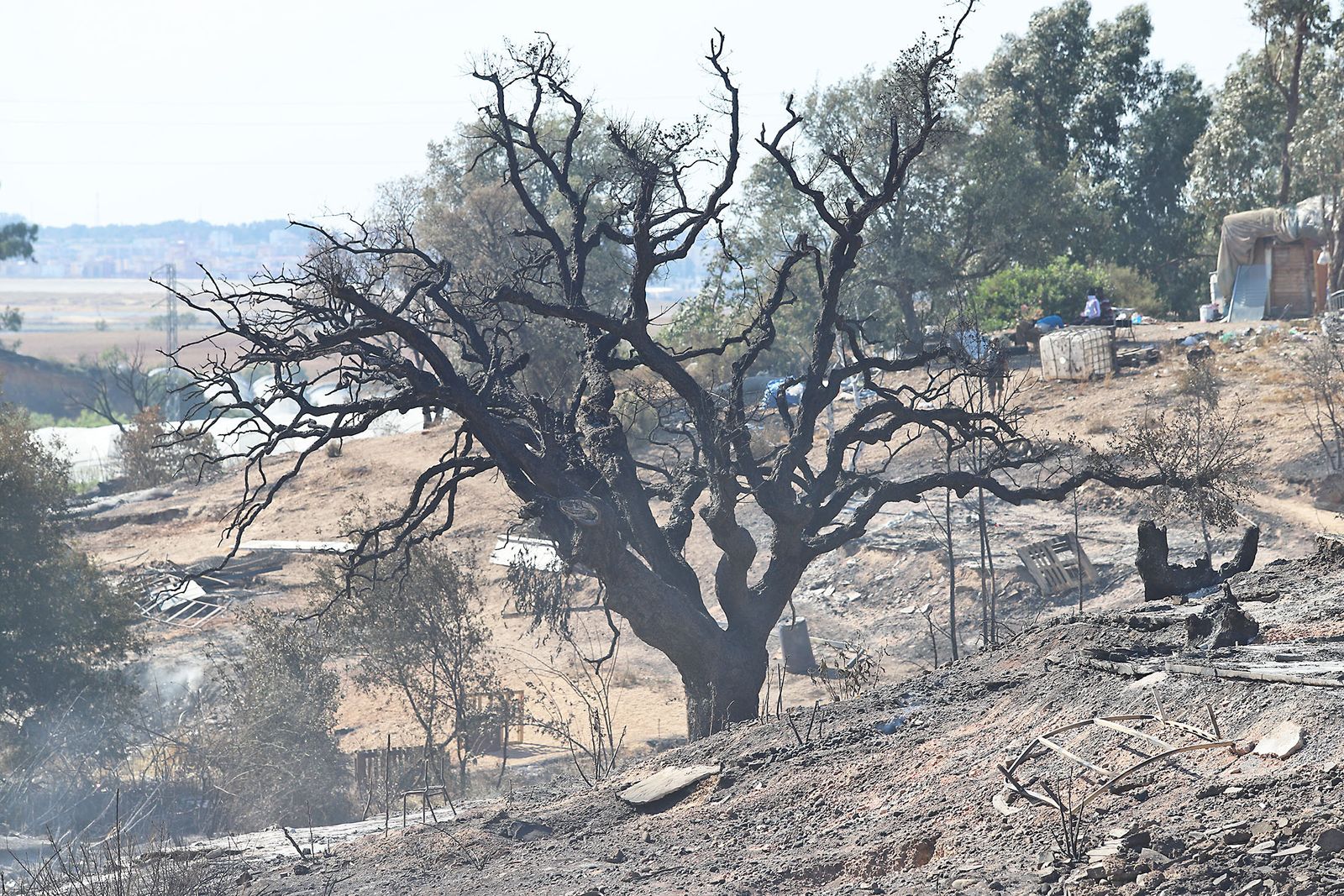 Así quedó el asentamiento de chabolas en Palos de la Frontera tras el incendio