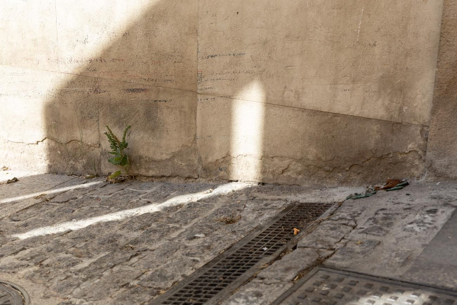 Suciedad y hierbajos toman el entorno de la Catedral de Jaén