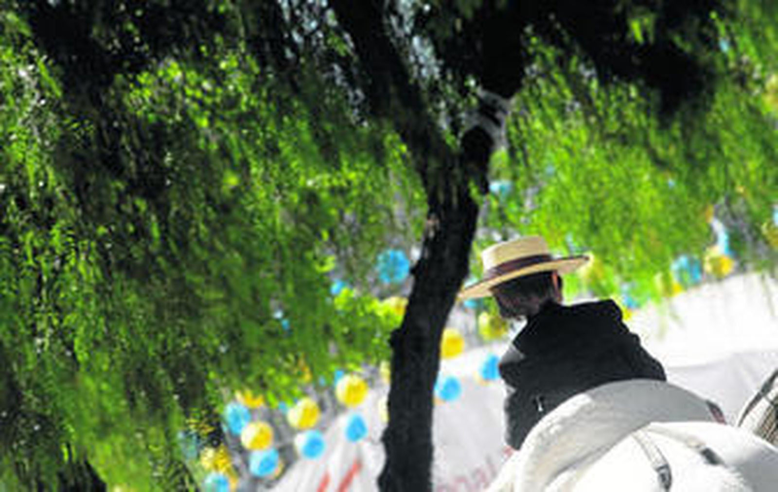 Un pequeño jinete pasea a caballo por el Real durante las horas de más calor.