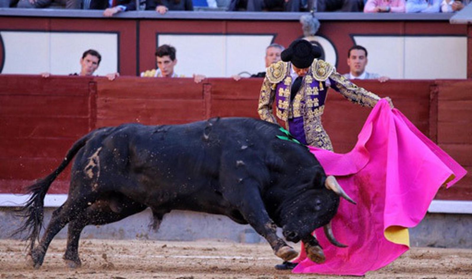 Francisco de Manuel en una verónica a uno de sus oponentes.