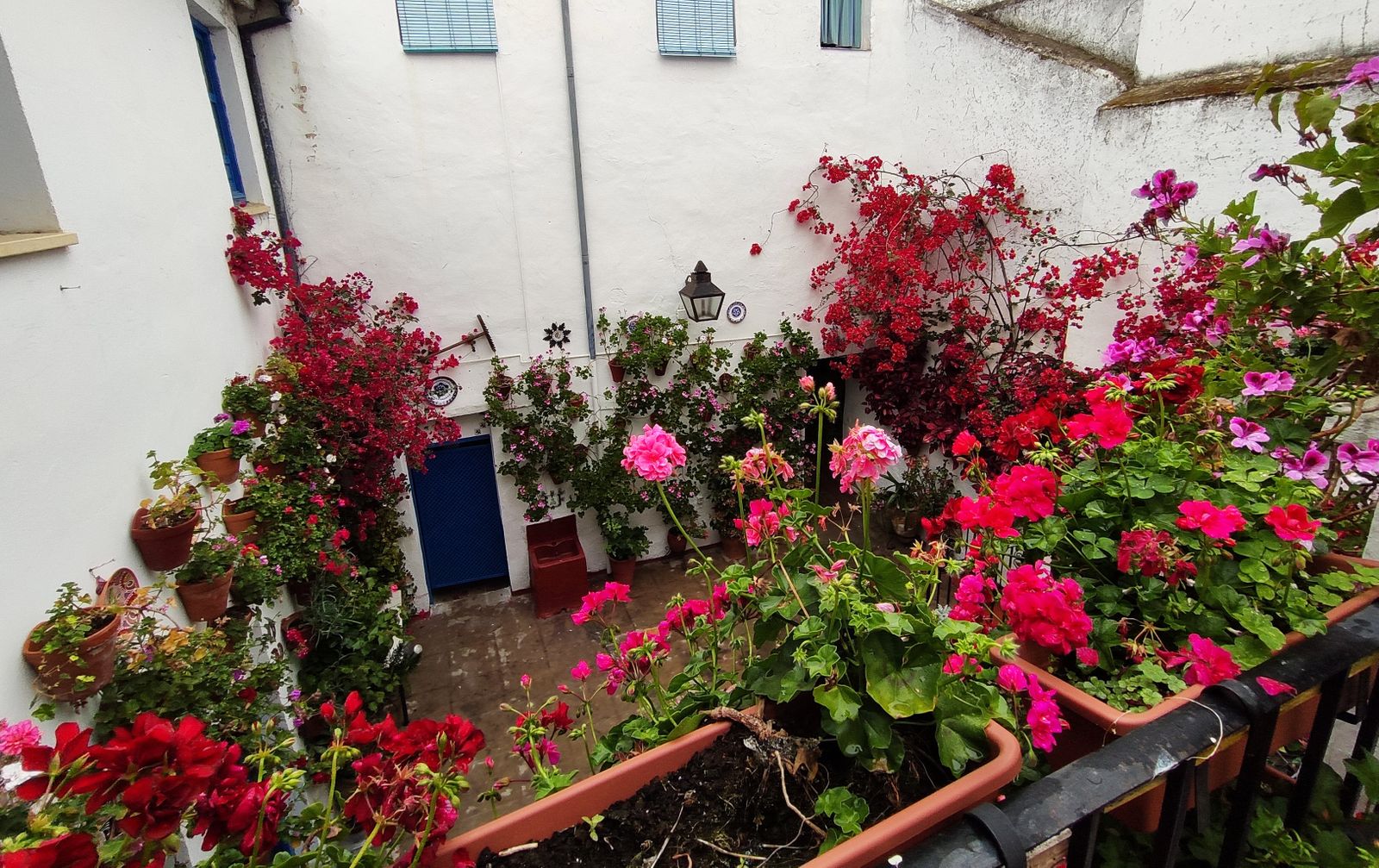 Los Patios  de Córdoba en tiempos de crisis: Siete Revueltas, 1