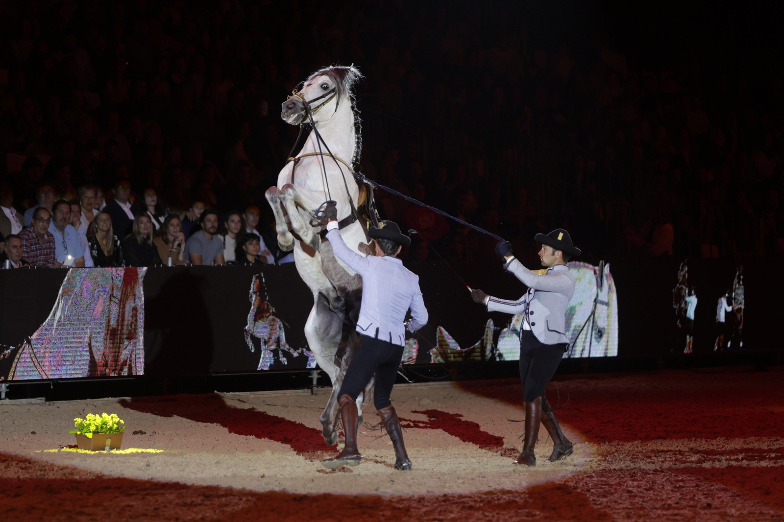 Las imágenes del espectáculo de  SICAB 2022