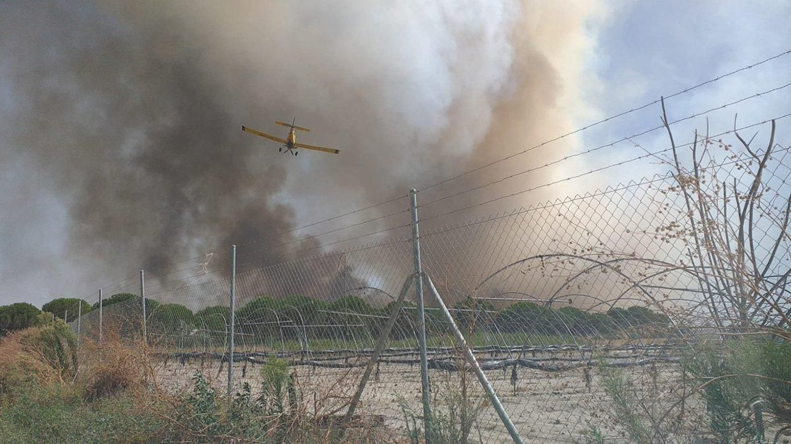 Un avión de Infoca combatiendo el incendio de Rociana del Condado.