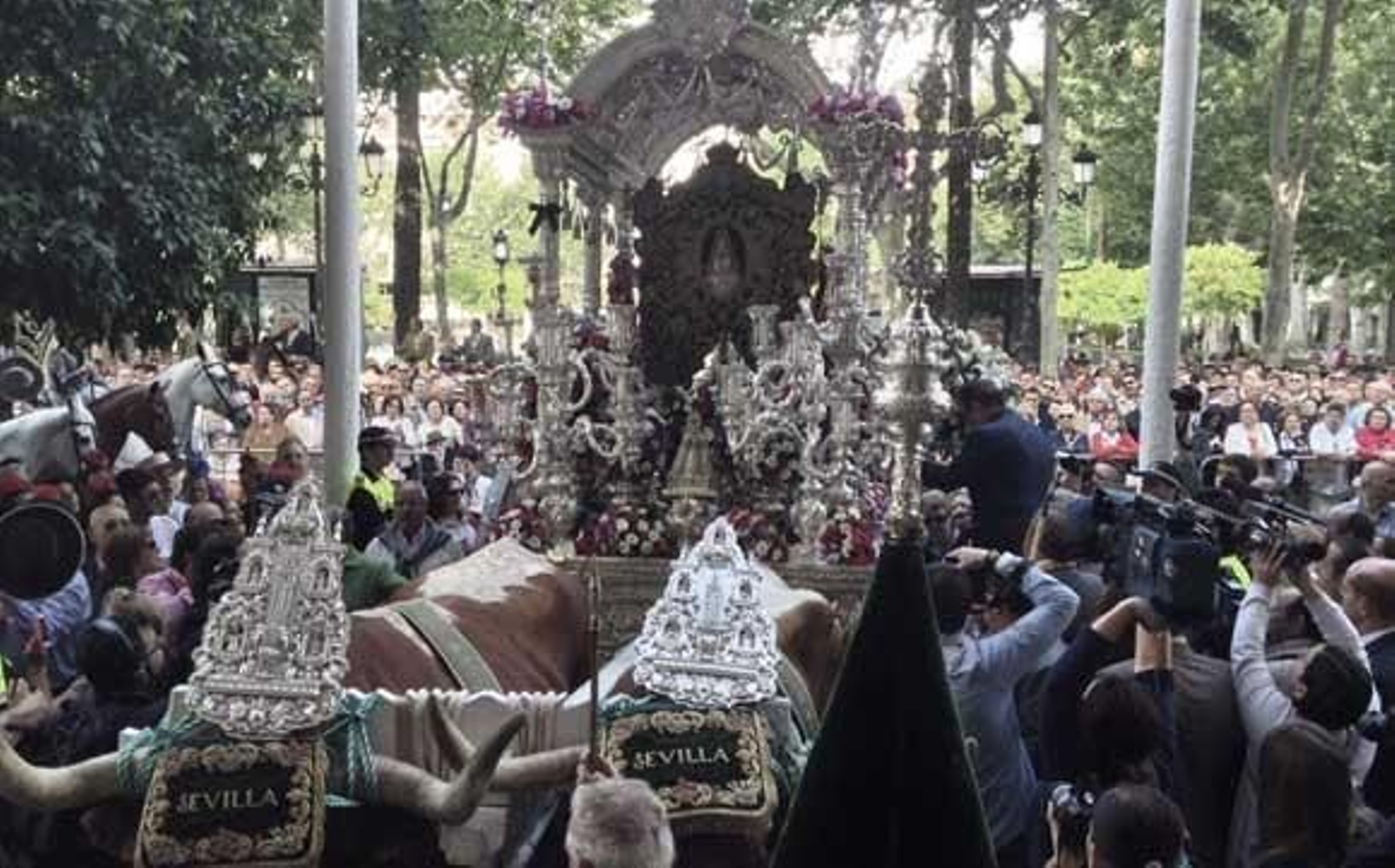 Todas las hermandades caminan ya al Rocío