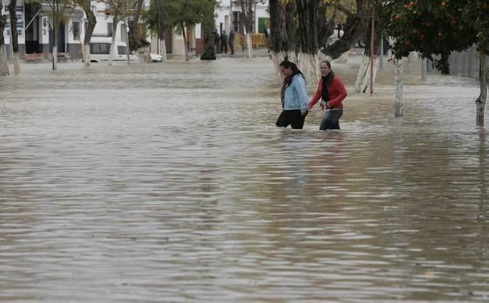 El Río Guadalquivir se desborda a su paso por Lora del Río./ J.C Muñoz