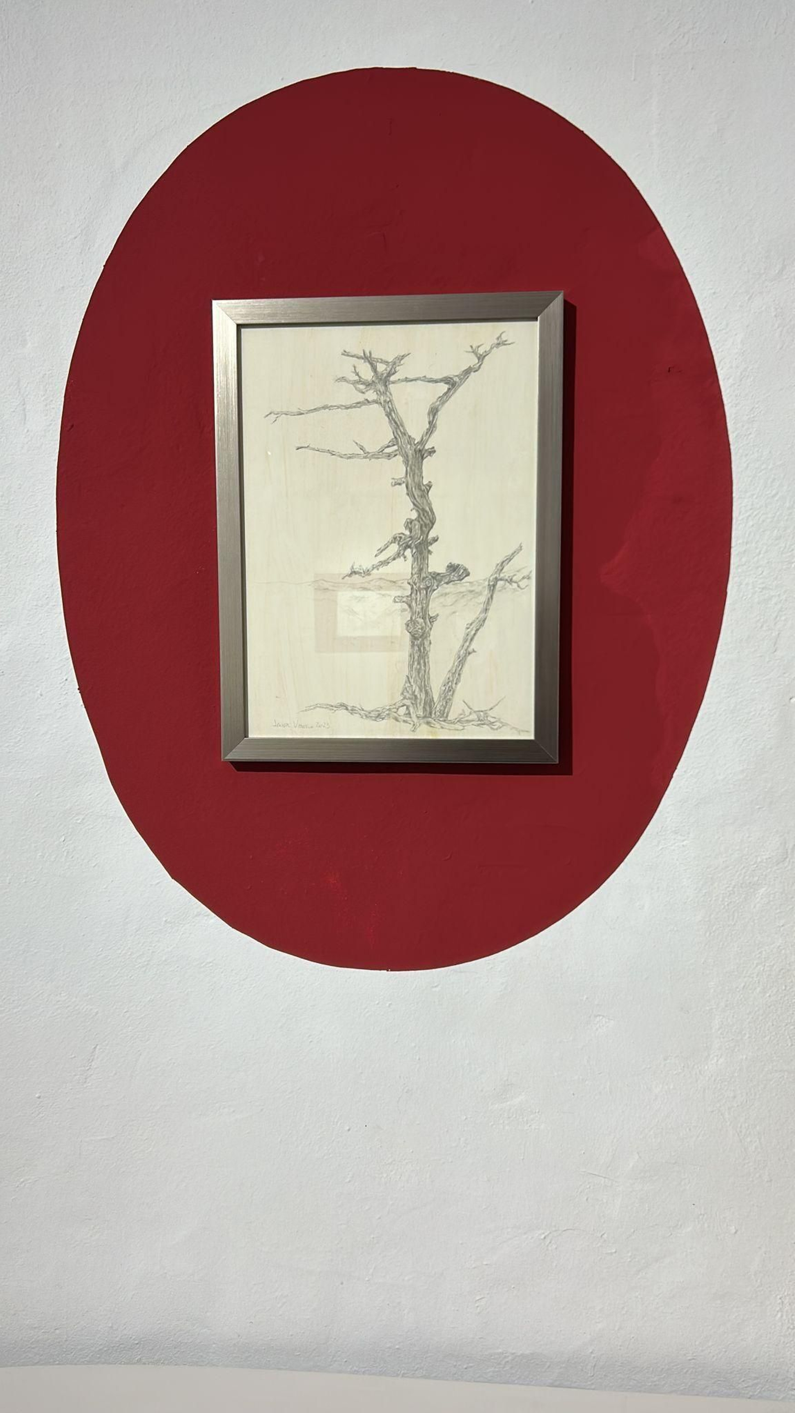 Obra de Javier Velasco. Obra de Javier Velasco.