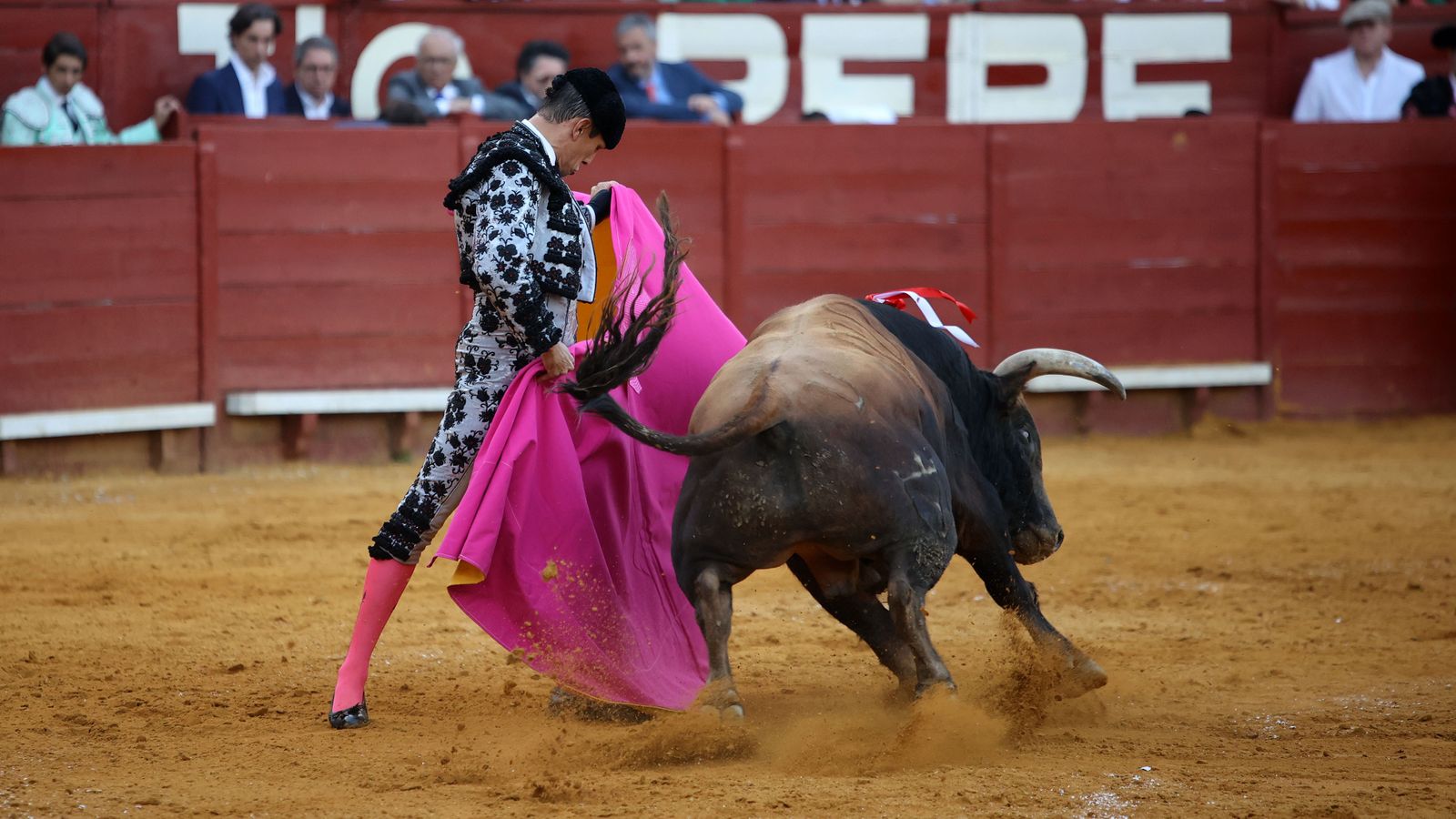 Última tarde de toros de la Feria de Jerez 2024 con Morante, Manzanares y Castella