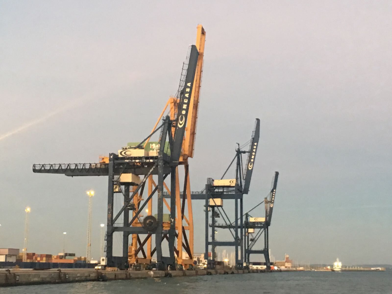 Las cuatro grúas de Concasa con las que cuenta ahora la terminal de contenedores del Muelle Reina Sofía.