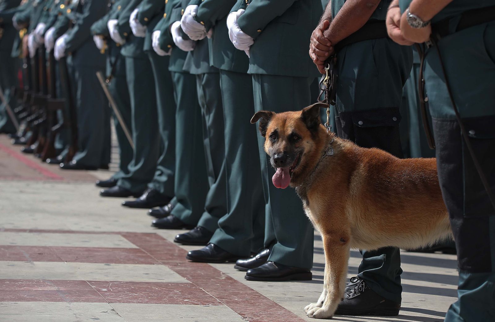 Fotos de la celebración de la Virgen del Pilar en Los Barrios