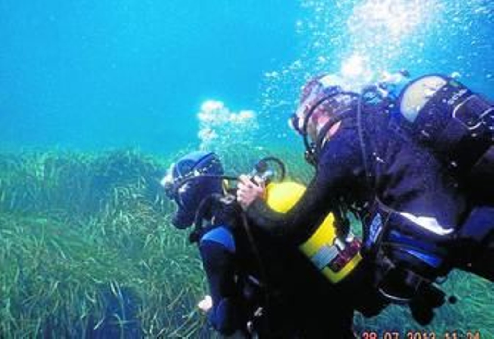 Los vecinos del municipio de Viator disfrutaron de una iniciación al buceo.