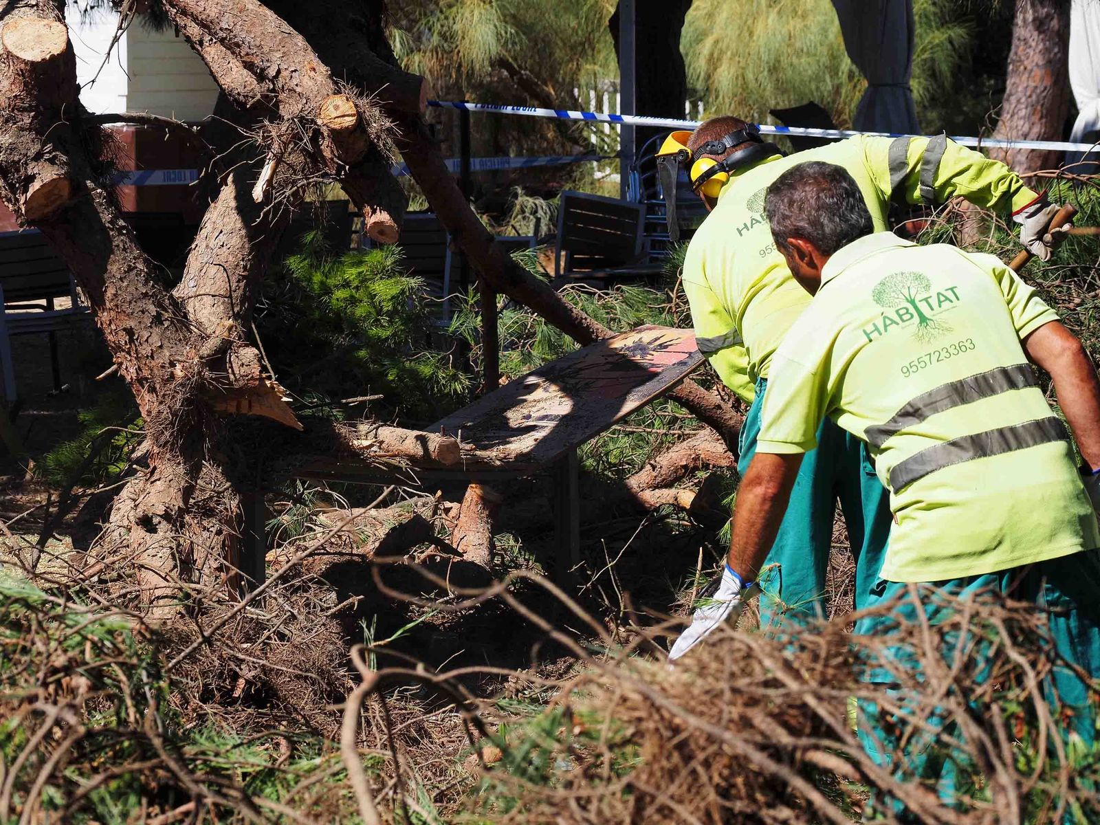 Un pino cae sobre las mesas de un restaurante en Nuevo Portil.