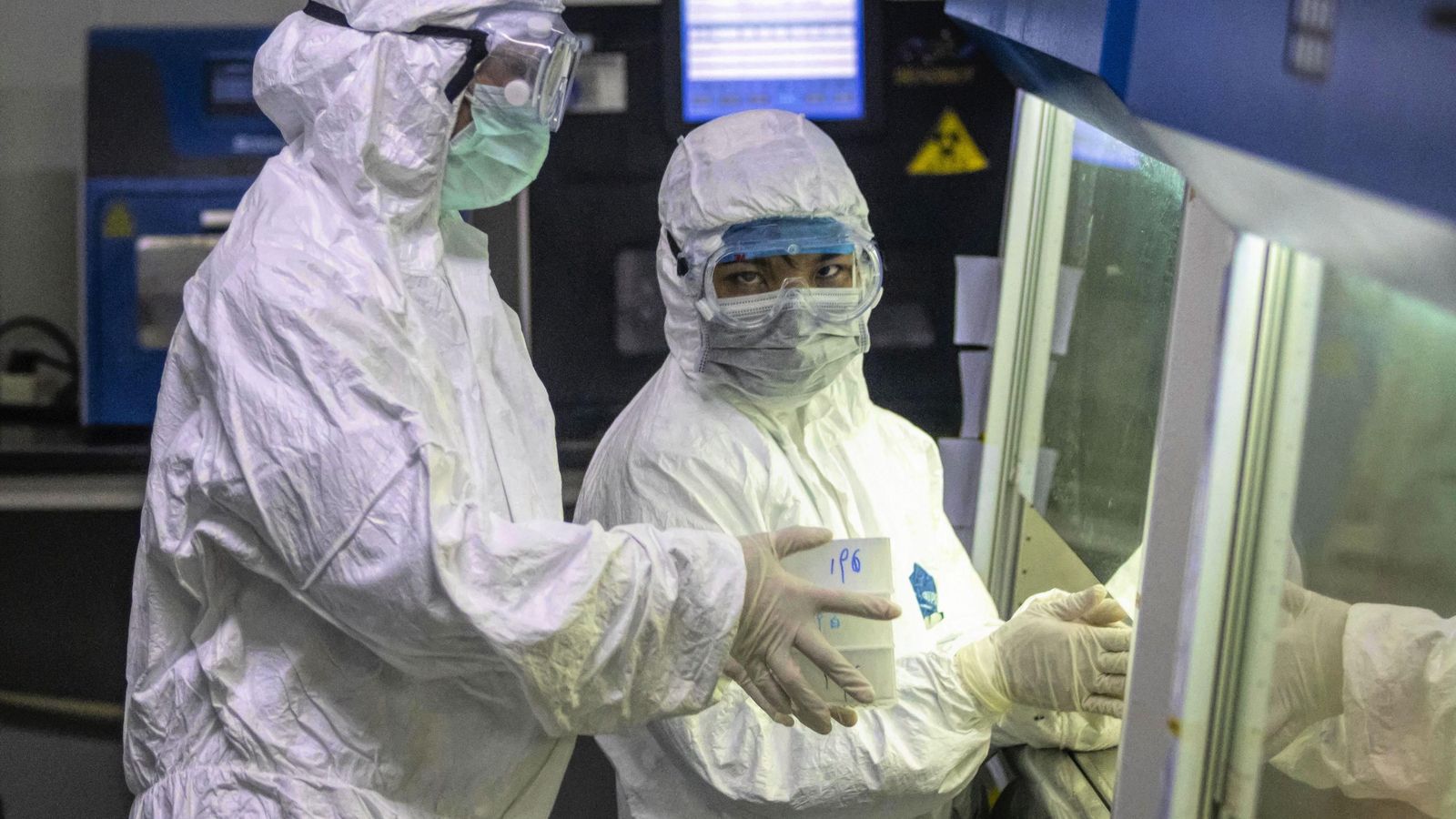 La variabilidad genética de virus respiratorios sugieren que la posibilidad de futuras pandemias es real.