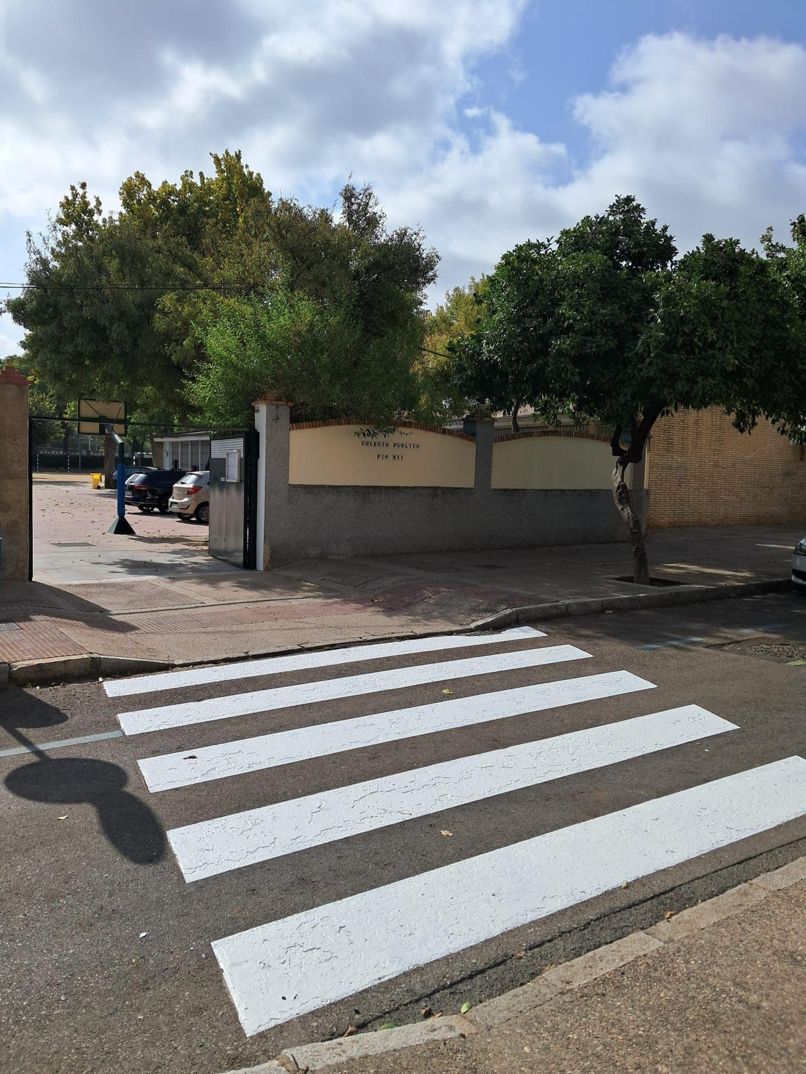 Pasos de peatones repintados.