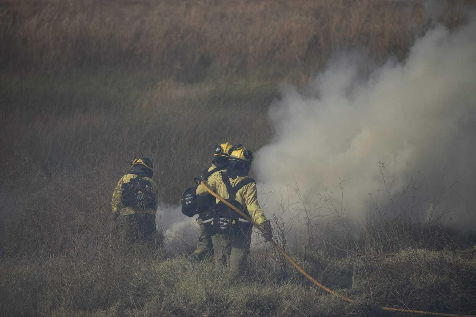 Imágenes del incendio forestal de Bonares
