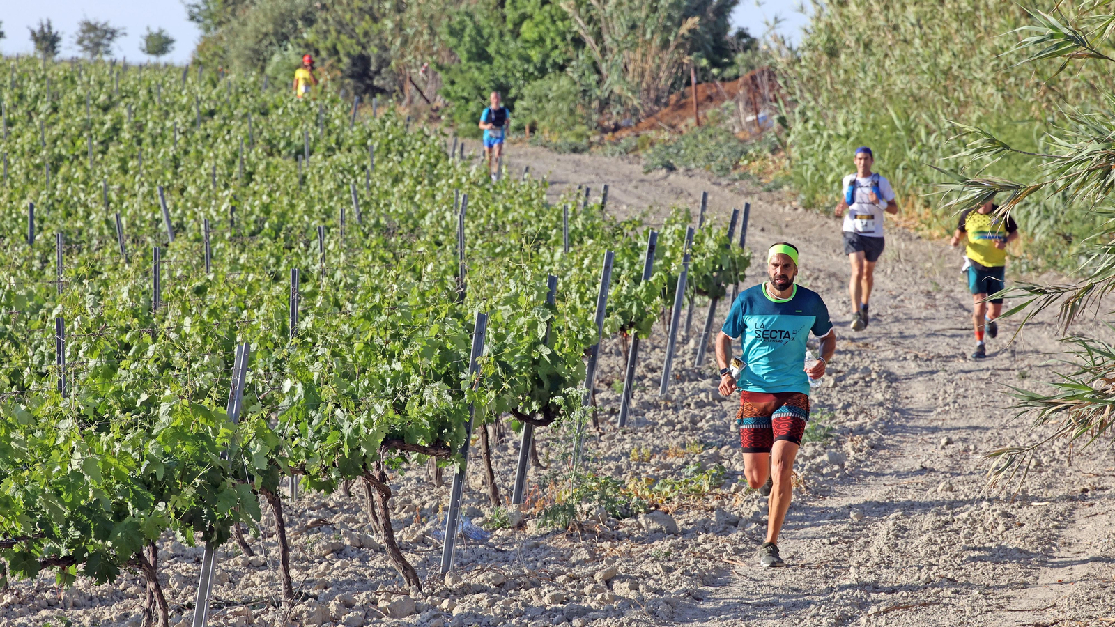 VI Sherry Maratón Jerez