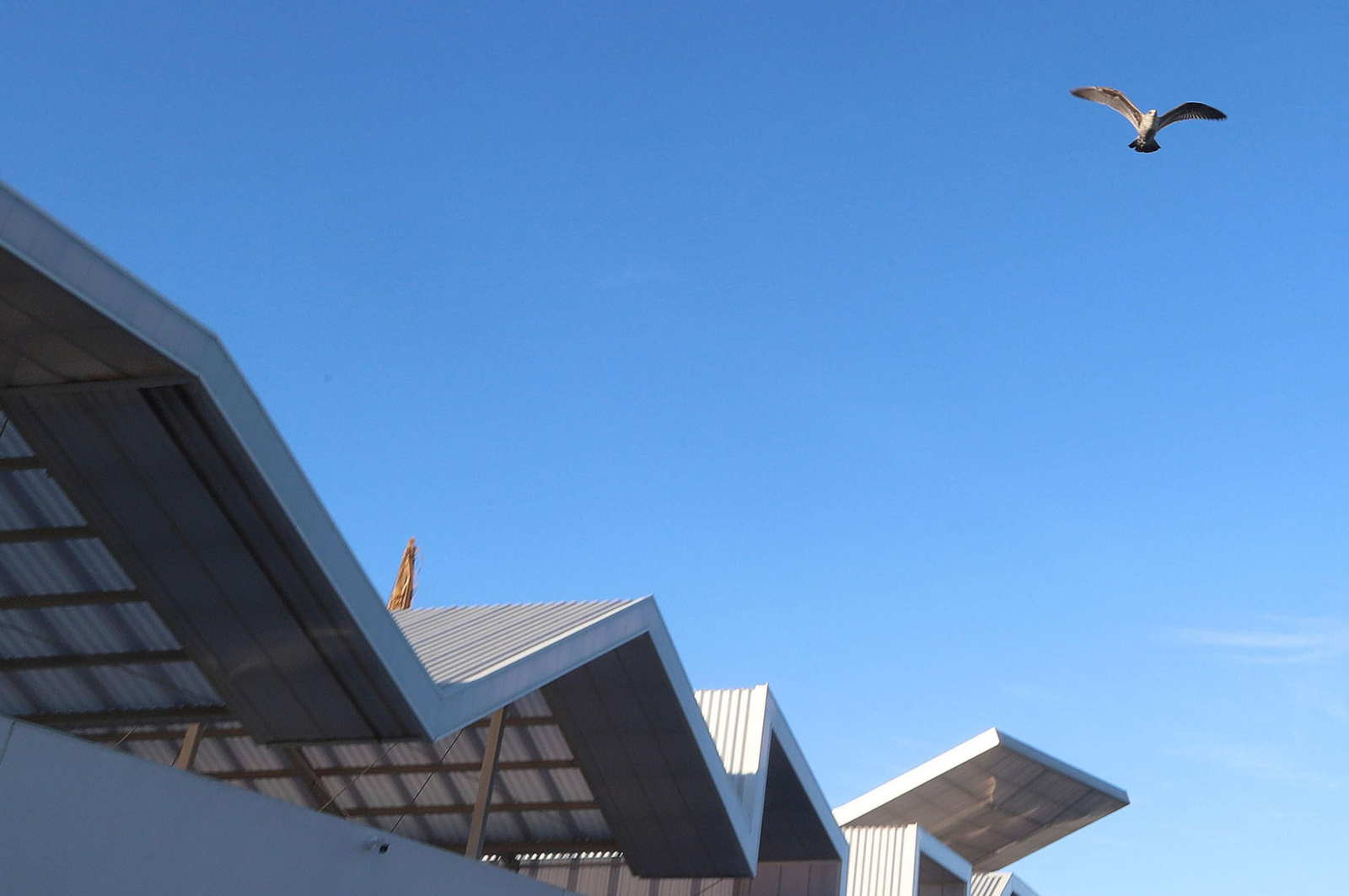 Imágenes de la visita a las instalaciones de la Ciudad del Marisco del Puerto de Huelva