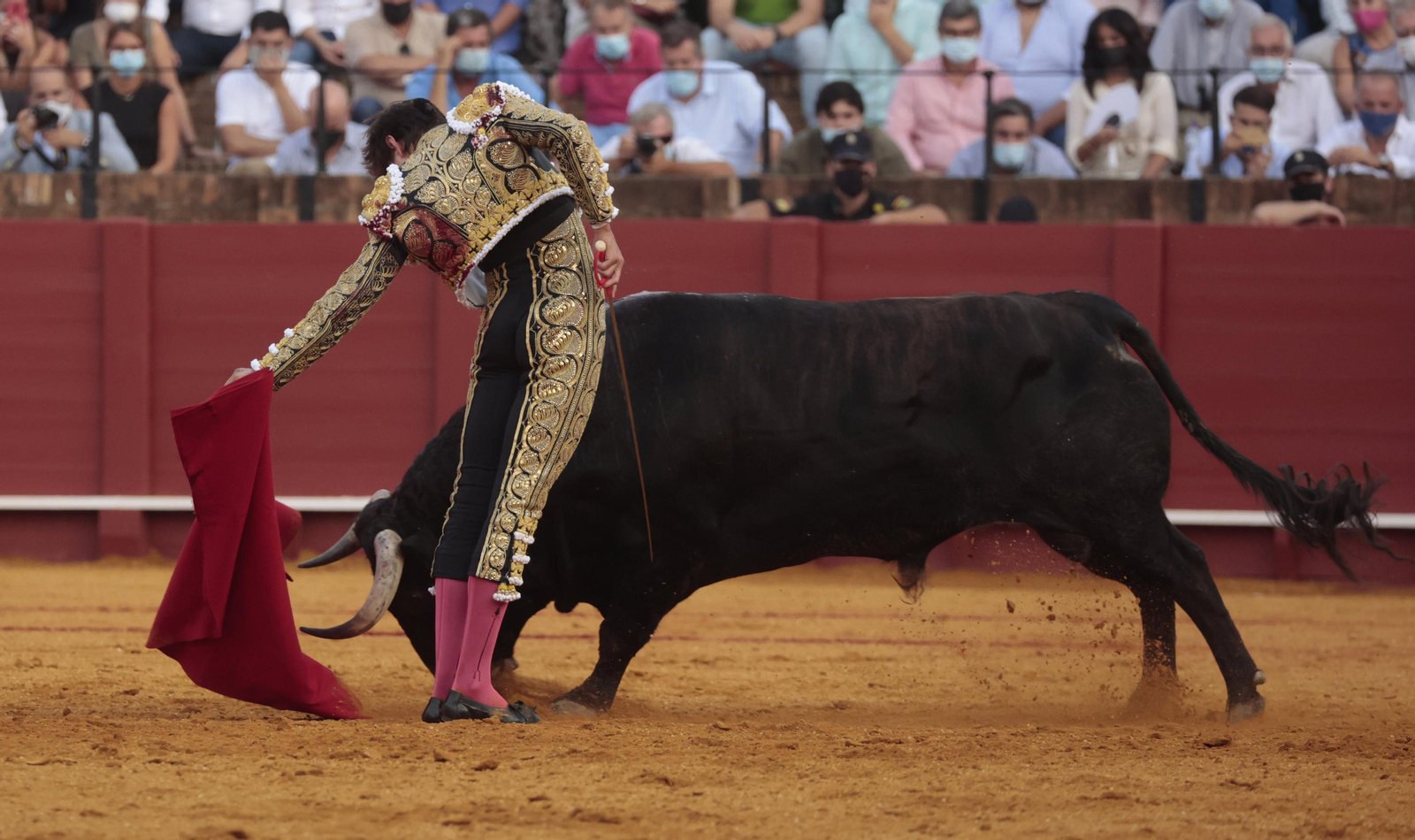 Las imágenes del triunfo de Morante en San Miguel