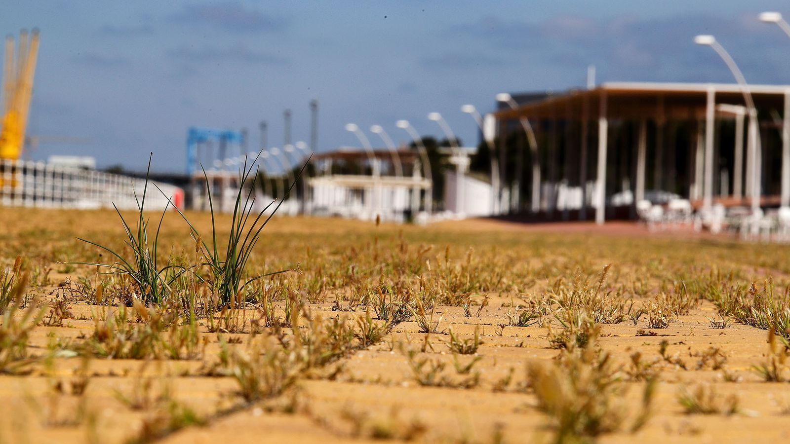 La vegetación se abre paso en el Paseo de la Ría después de varias semanas cerrado al público.