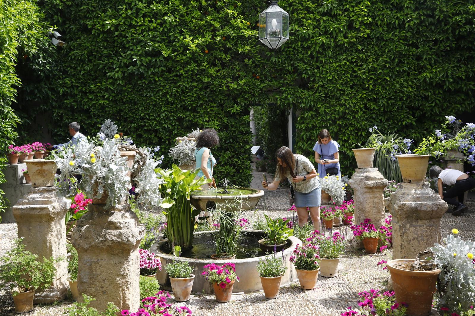 La jornada de puertas abiertas en el Palacio de Viana de Cordoba, en imágenes