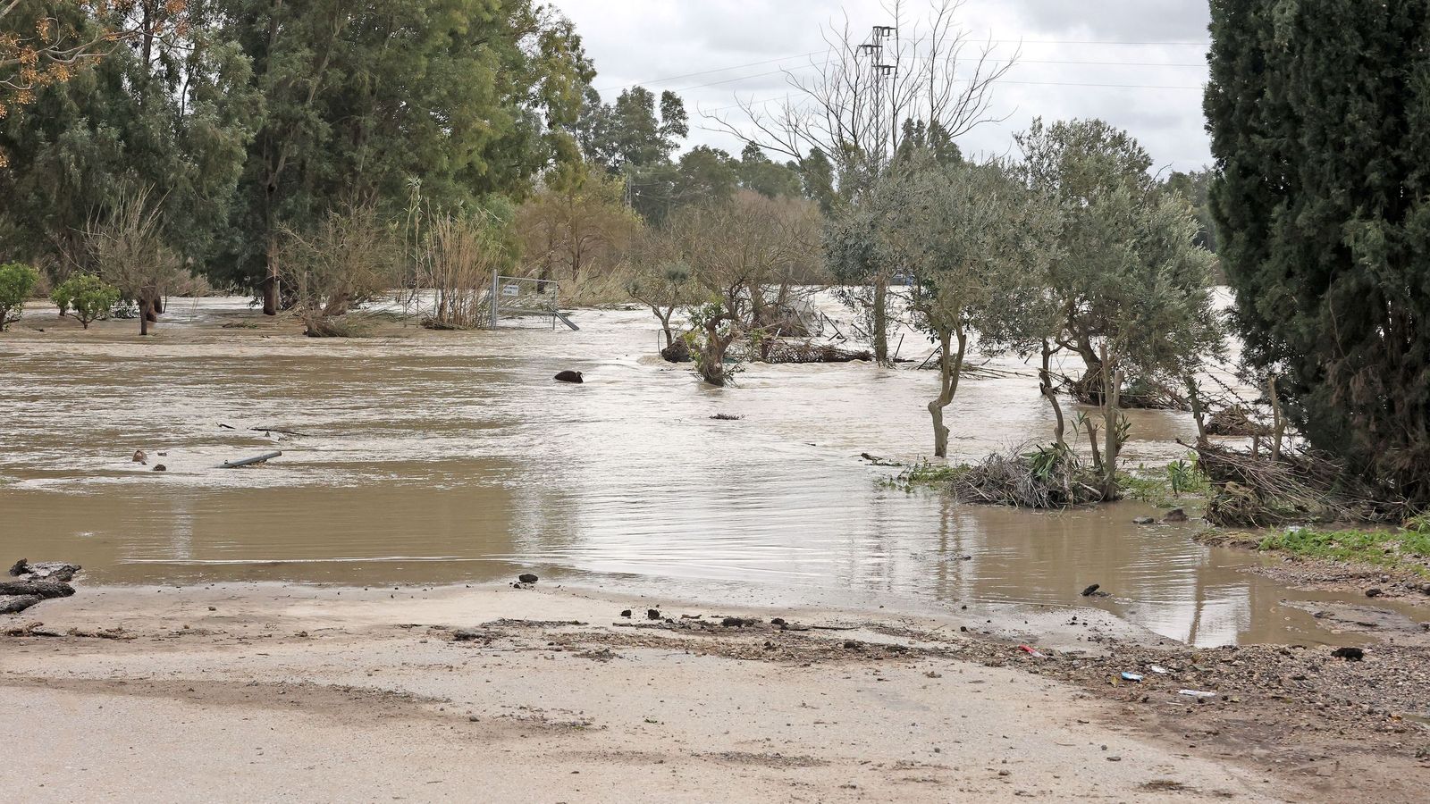 El Guadalete comienza a bajar su nivel poco a poco por la zona rural de Jerez