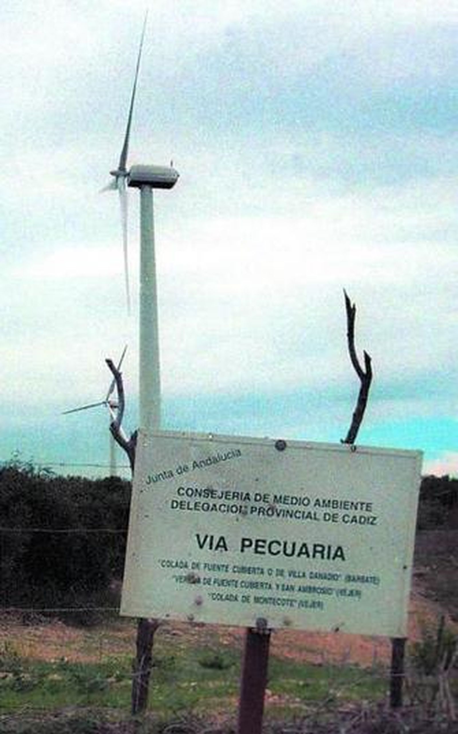 Molino de un parque eólico en Barbate.