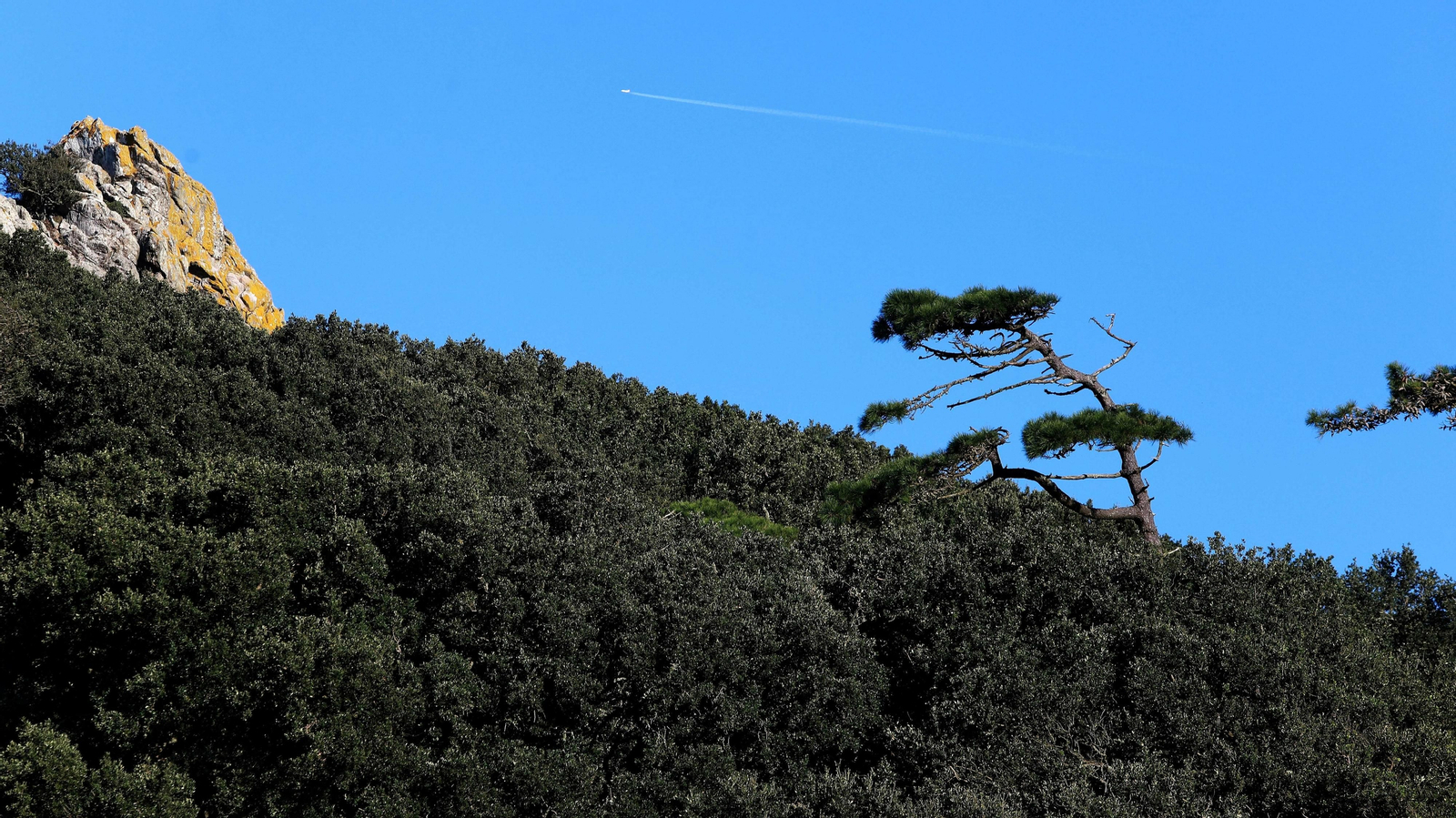 Las mejores fotos del Tajo de las Escobas