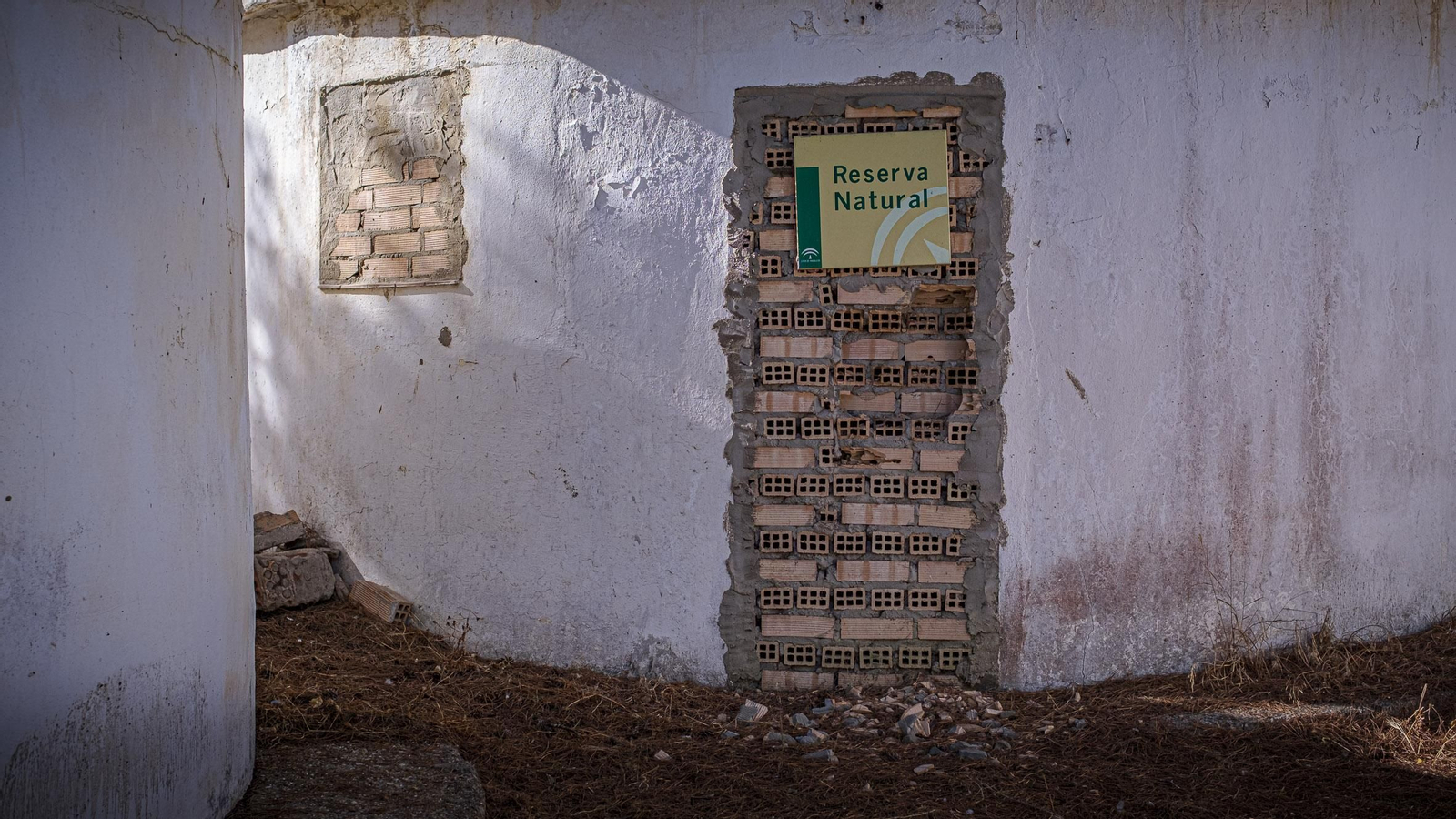 Las imágenes actuales del estado de abandono del antiguo campamento La Forestal en Rota