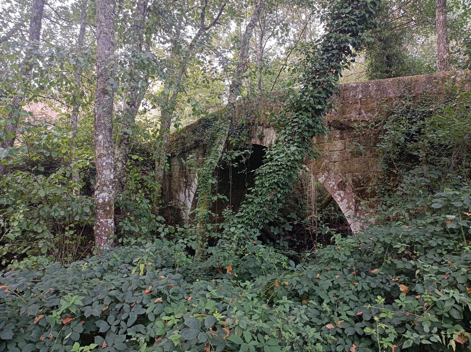 El puente romano sobre el río Barbantiño.